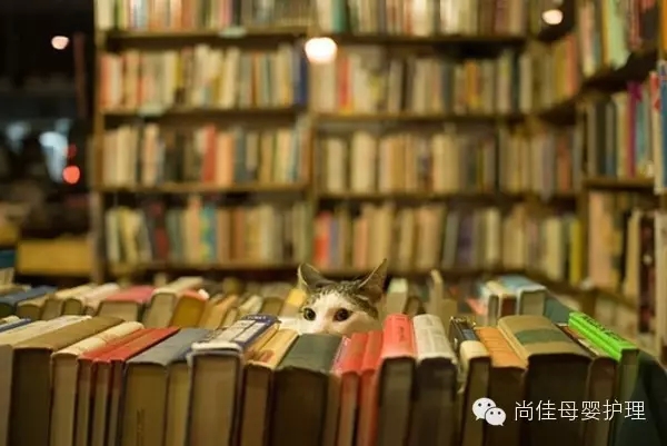 家政服務(wù)員中五大錯誤要點(diǎn)，您中招了嗎？